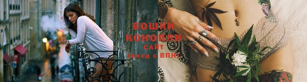 молекула духа Саяногорск