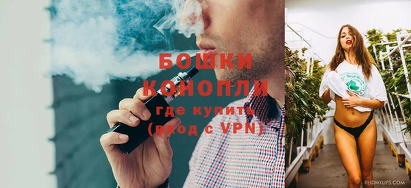 шишки Семилуки