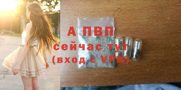спиды Сафоново