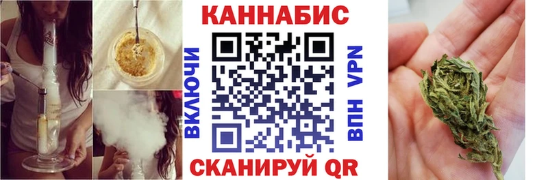 Бошки Шишки планчик Олонец